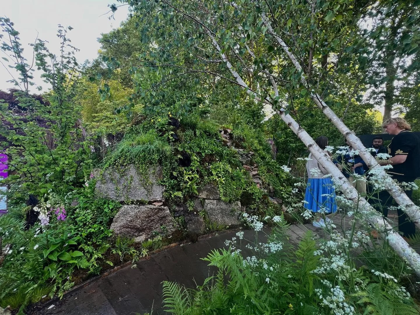 The Wildlife Trusts&rsquo; British Rainforest Garden by Zoe Claymore, my personal top favourite at #rhschelsea this year.