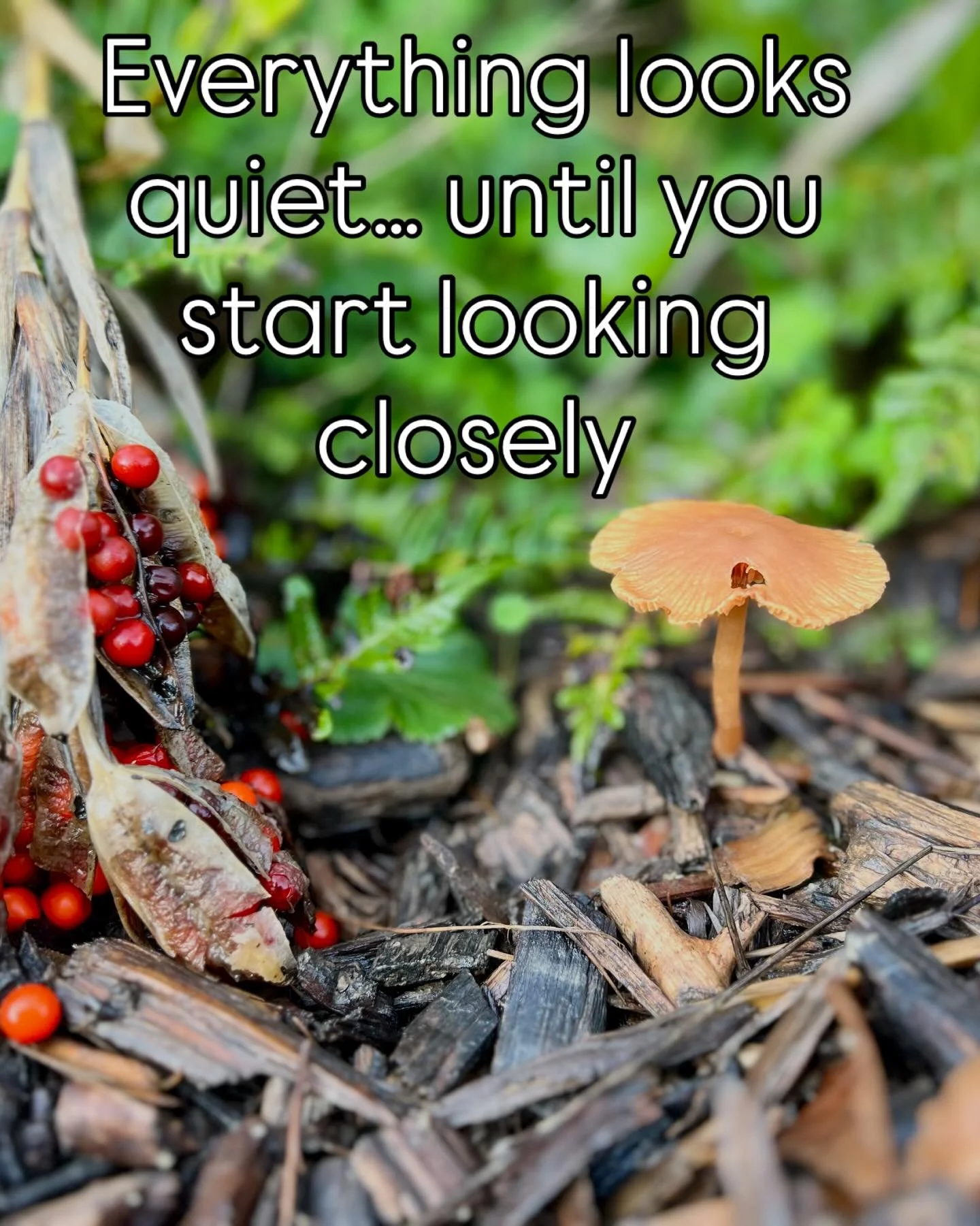 First signs of life&hellip; #wildlifegarden
#sussexgardens
#pondlife
#ecologicalgardening
#gardendesigner