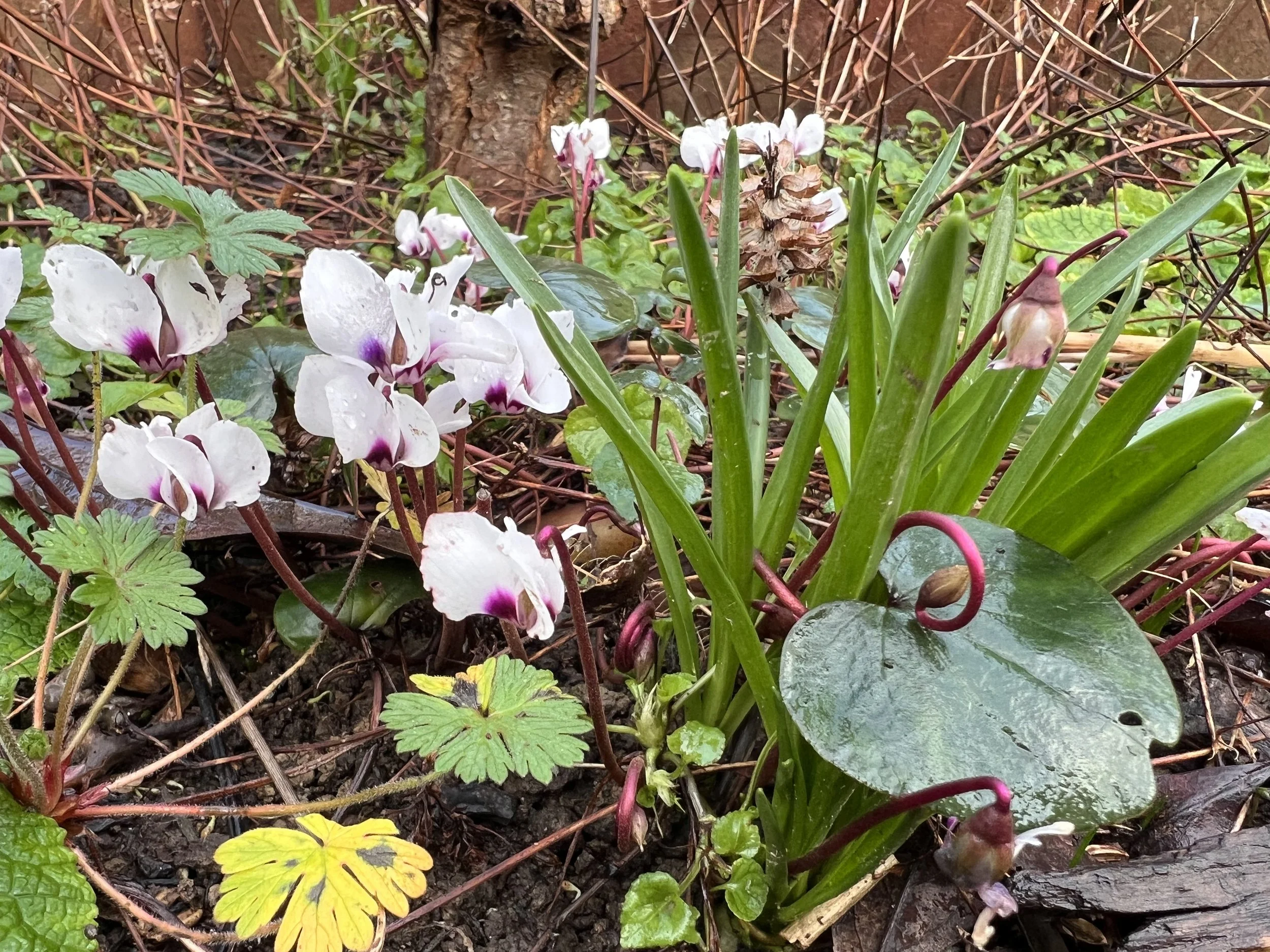 Why doing less now helps your garden more later