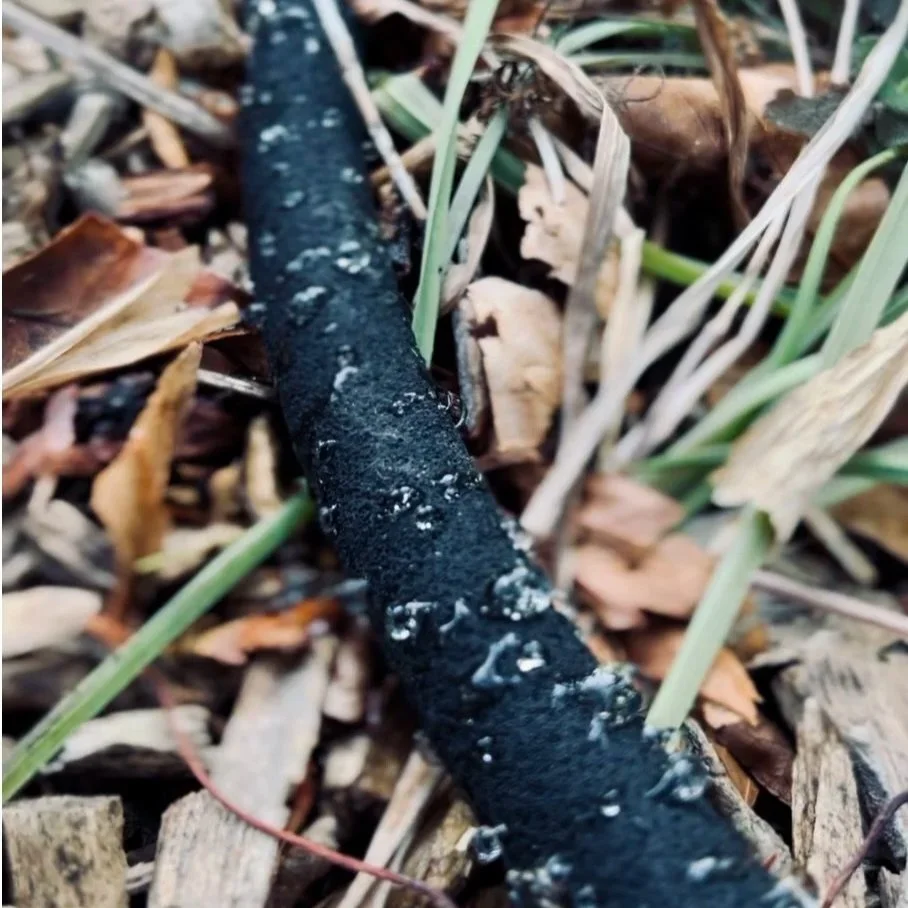 More irrigation = Less irritation