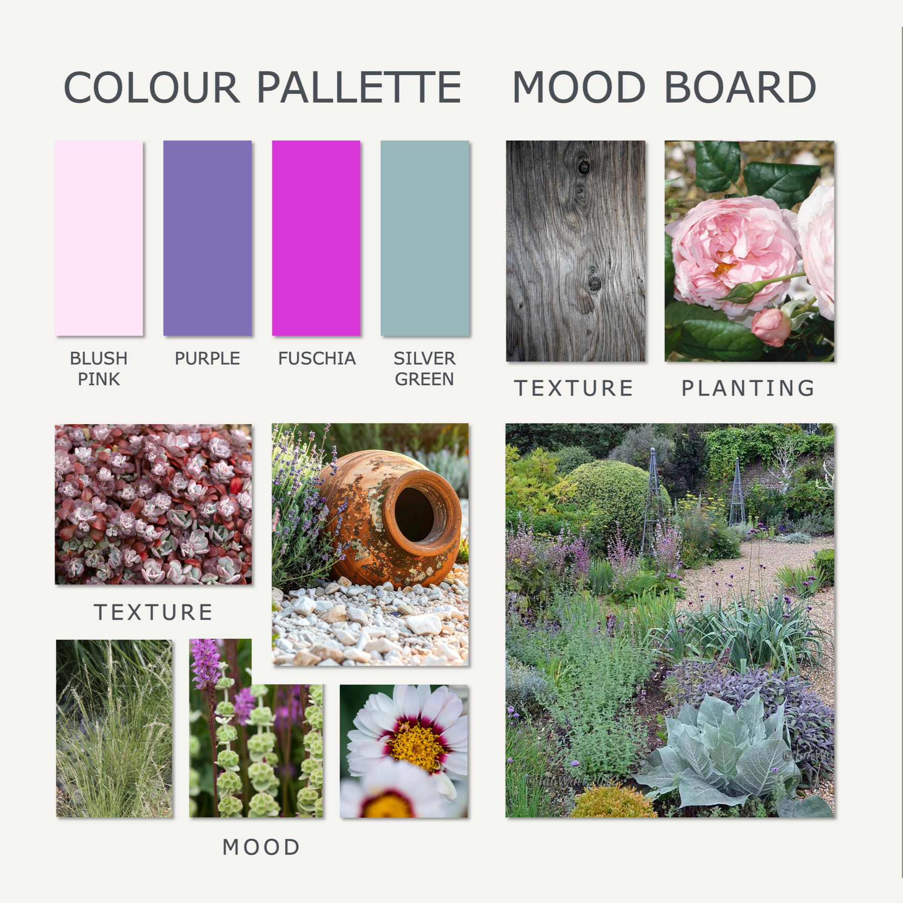 Mediterranean gravel garden