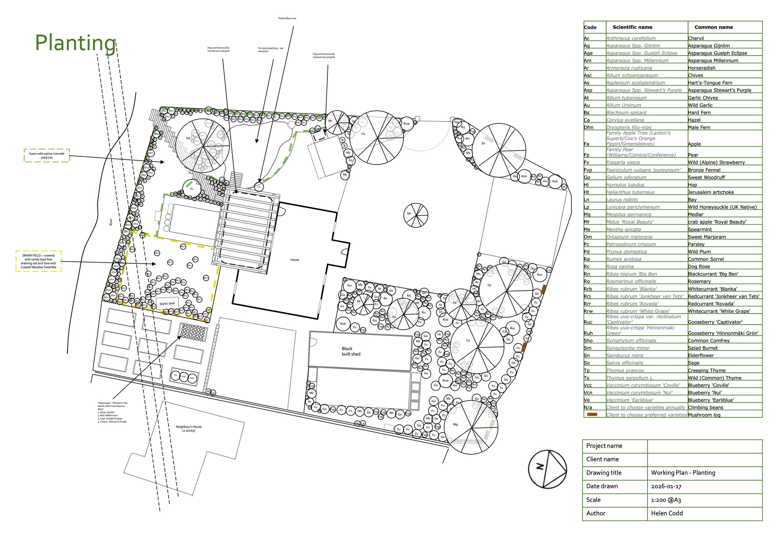 Rural family garden with cottage‑wild planting and space to grow - Working Plan - Planting