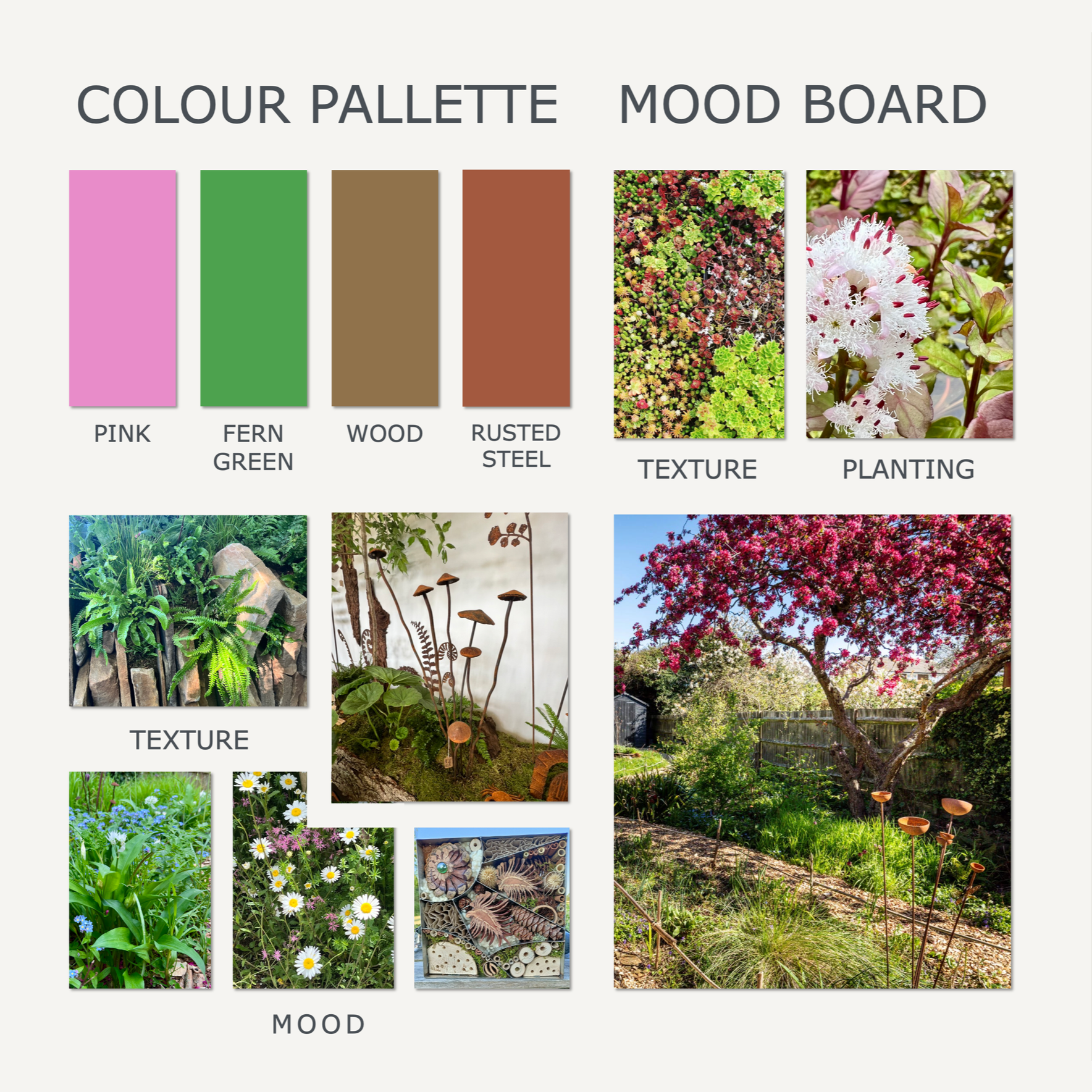 Wildlife garden for biodiversity