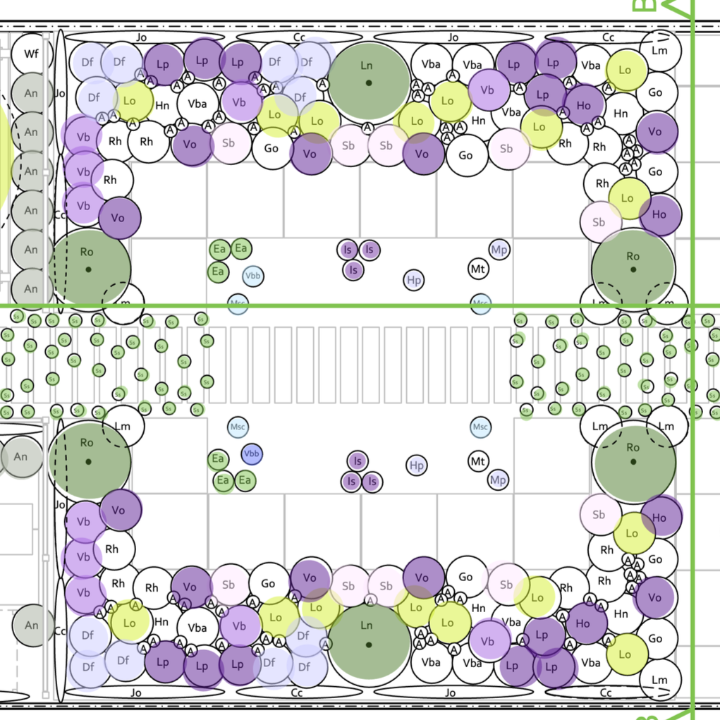 Modern garden with cool tones, clean lines and a sunken wildlife pond