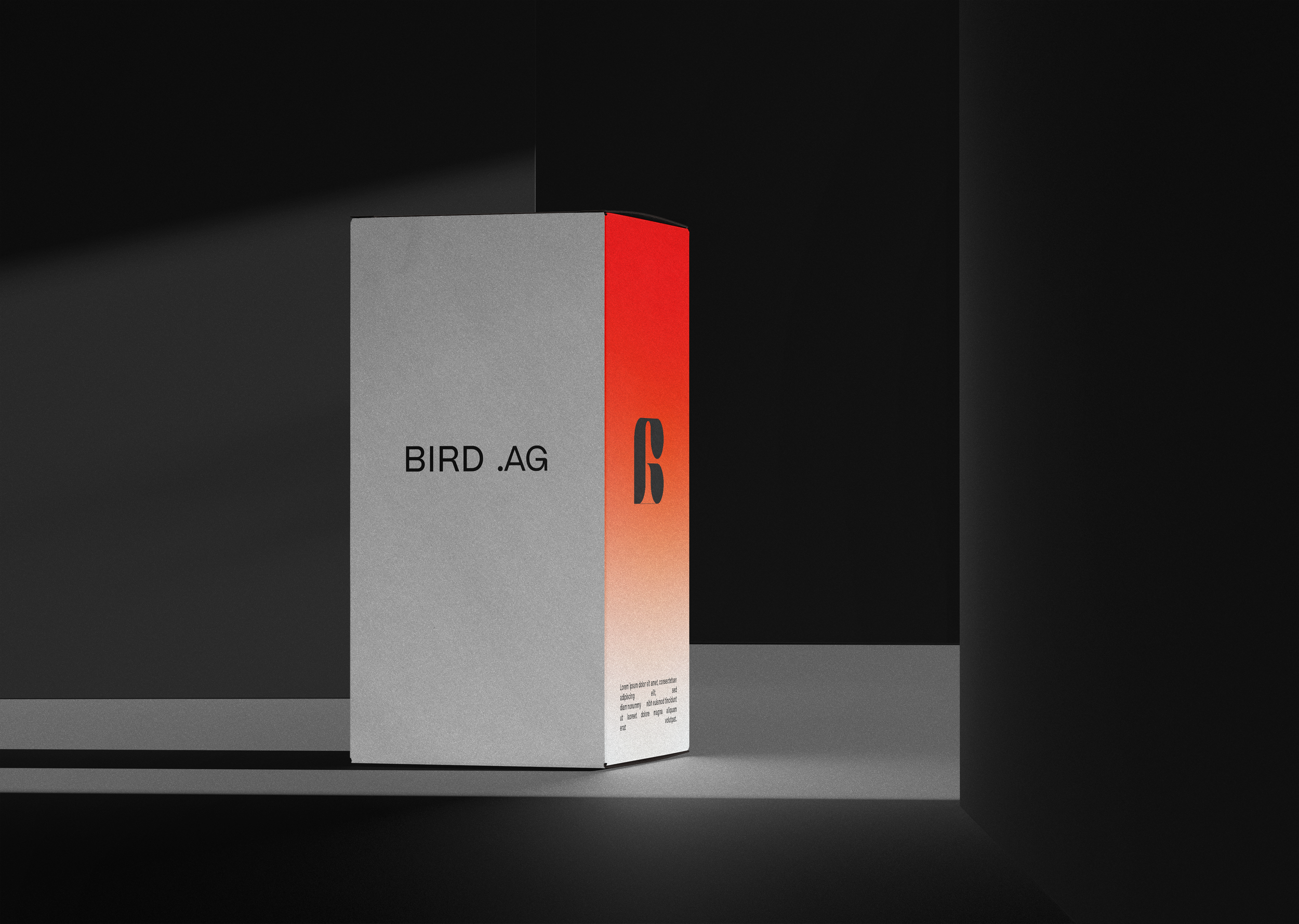 mockup box.png