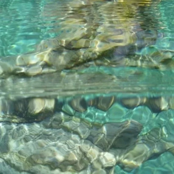 Clear shallow spring water over rocks