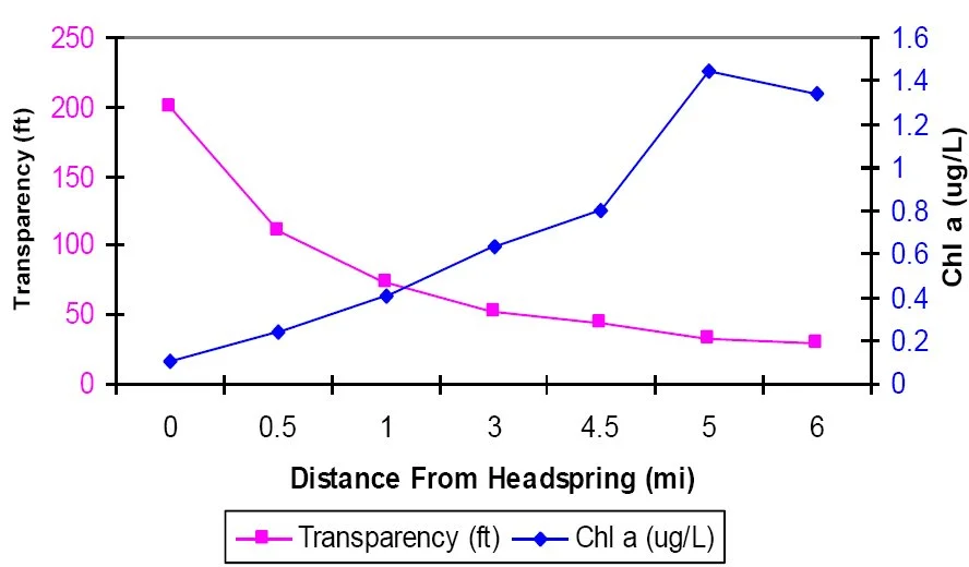 Line graph showing decreasing water transparency and increasing chlorophyll levels with distance from the Rainbow Springs headspring.