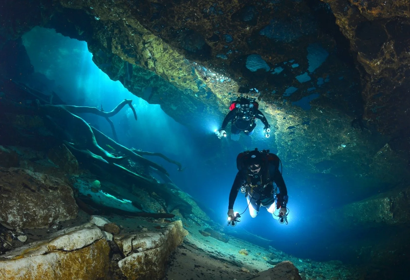 Scuba divers exploring an underwater cave at Manatee Springs