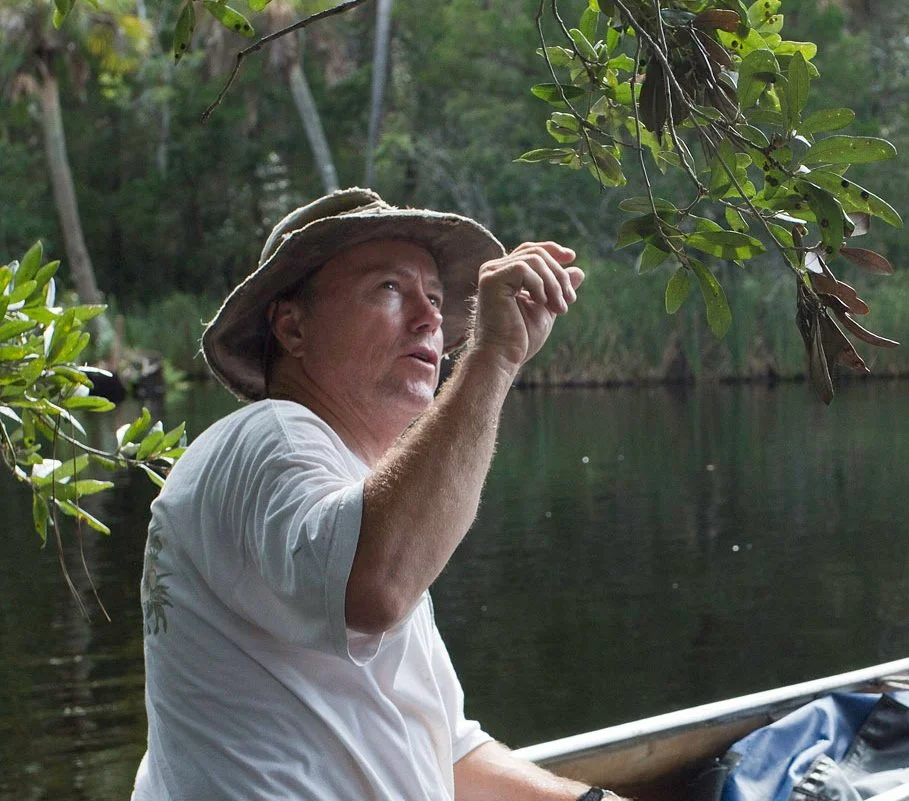 Man wearing a wide-brim hat sits in a canoe on the Ichetucknee River, reaching toward tree branches overhead