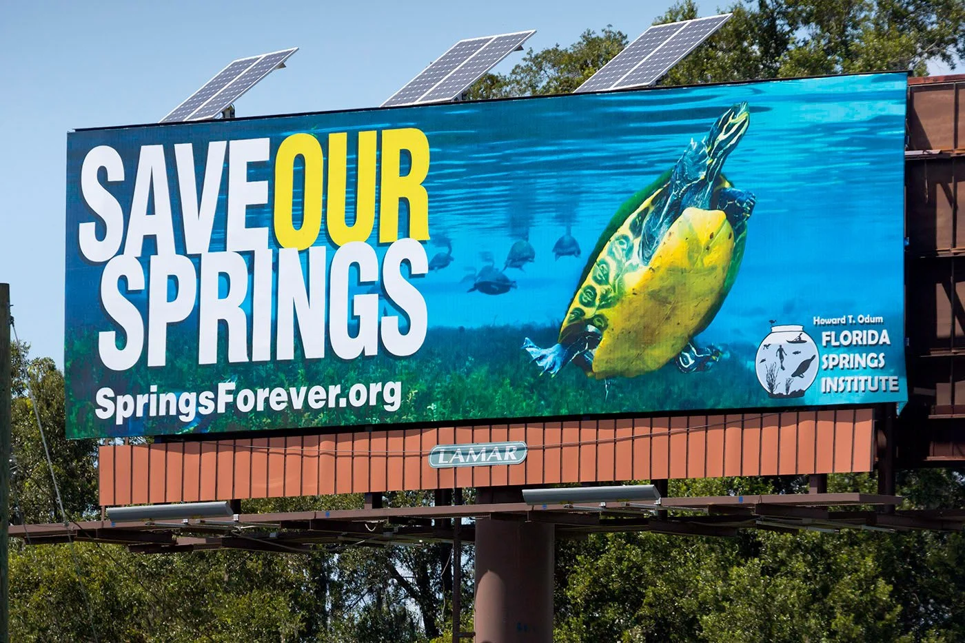 Billboard reading “Save Our Springs” with an underwater image of a turtle and fish, promoting springs conservation and the Florida Springs Institute.