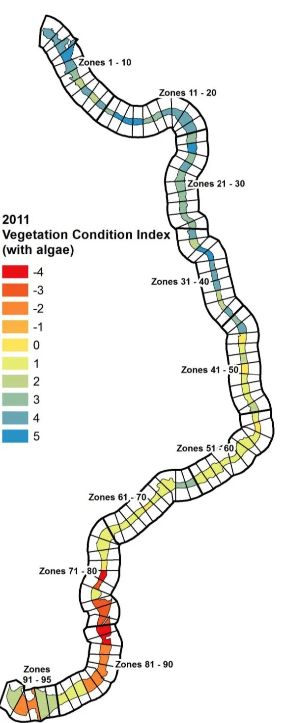 Diagram of Rainbow River showing vegetation condition index by zone, with increased algae presence in downstream sections.