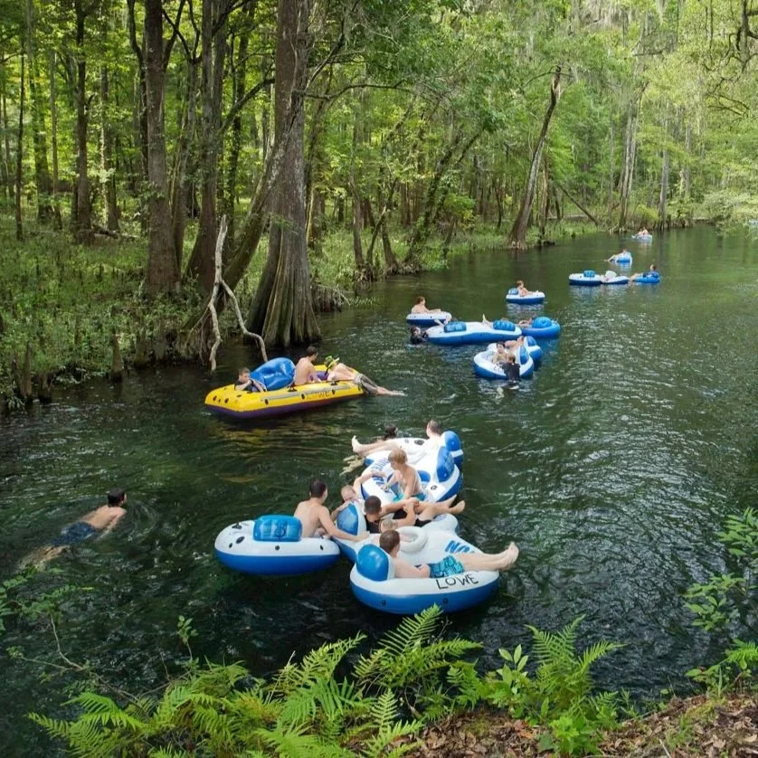 Groups of people floating on blue inner tubes along the Ichetucknee River, surrounded by tall trees and lush green forest.