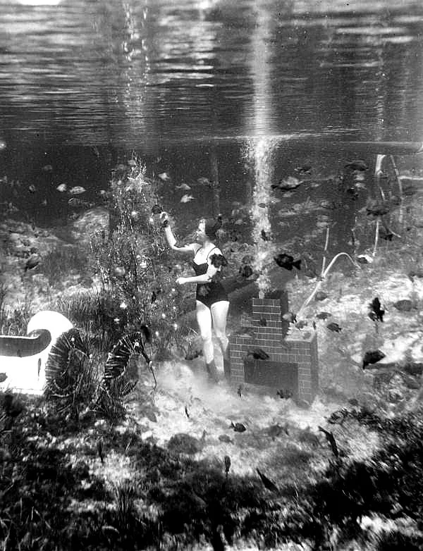 Black and white underwater photo of swimmers surrounded by fish in a spring