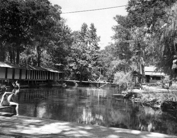 Vintage photo of a spring with swimmers in the water, a wooden bridge and dock in the background, and forested surroundings.