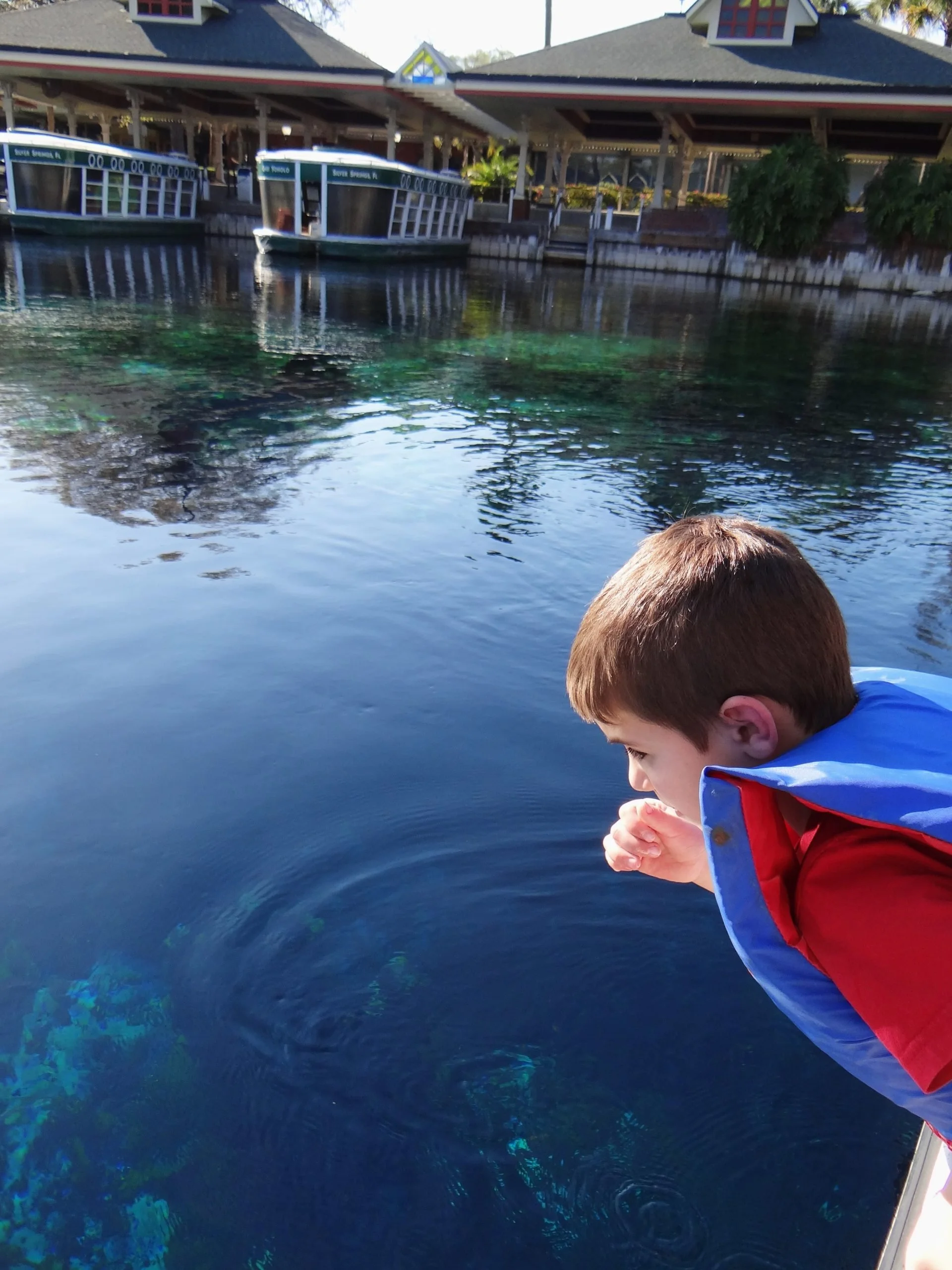 A photograph of a young child leaning over clear blue spring water, looking down, with glass-bottom boats and buildings in the background.