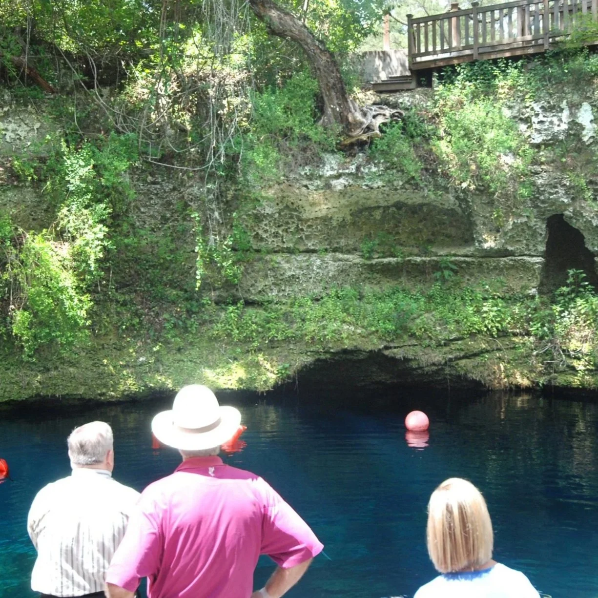 Three people standing at the edge of a clear blue spring, looking into the water beneath a wooden overlook