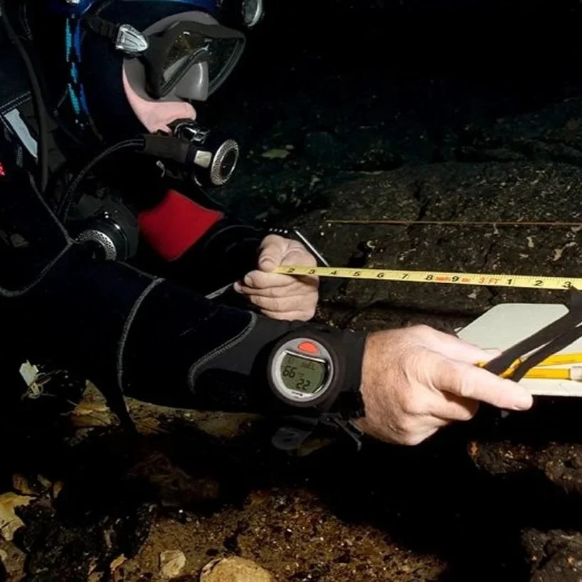 Scuba diver underwater measuring or recording data on the spring floor