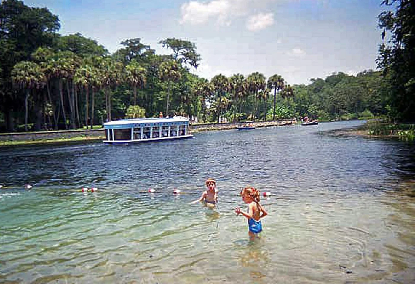 Children swimming in a clear spring with a glass-bottom boat and palm trees in the background