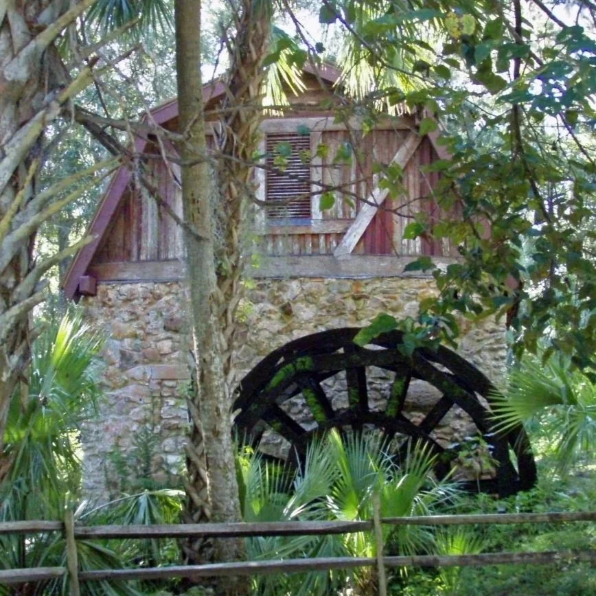 Historic mill house with water wheel in forest