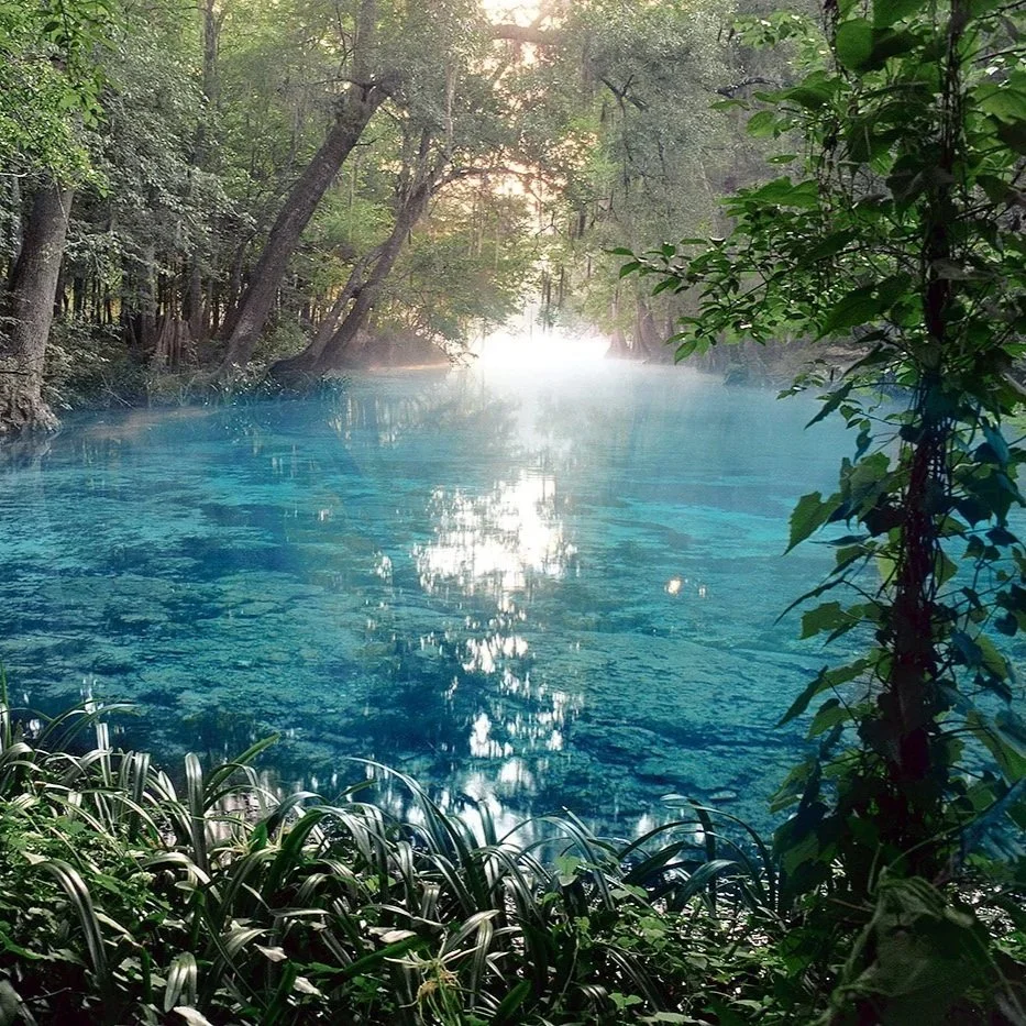 Clear blue Florida spring surrounded by trees, with sunlight filtering through the forest and reflecting on the calm water’s surface.