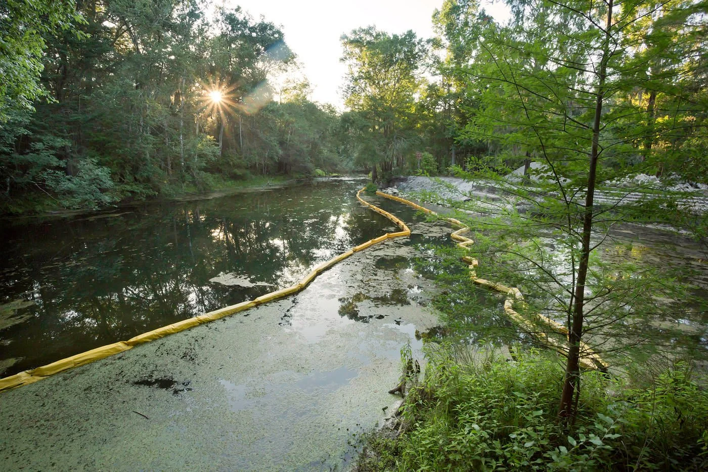 River with containment boom and algae along shoreline