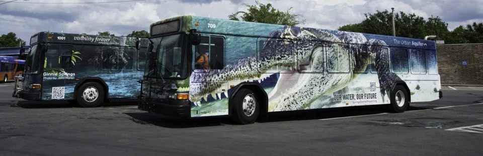 Two buses wrapped with Florida wildlife and spring imagery, including a large alligator graphic representing the aquifer ecosystem.
