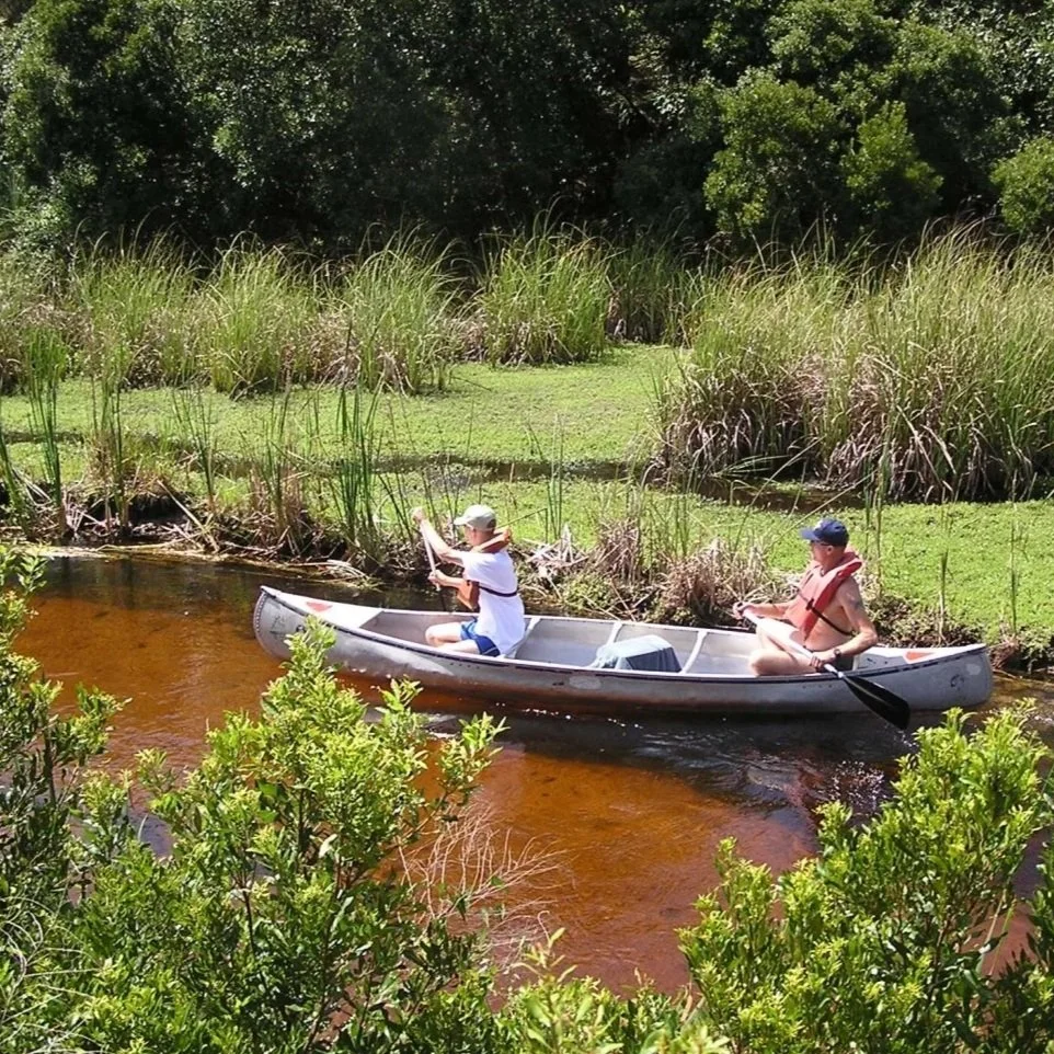 People paddling canoe through narrow spring