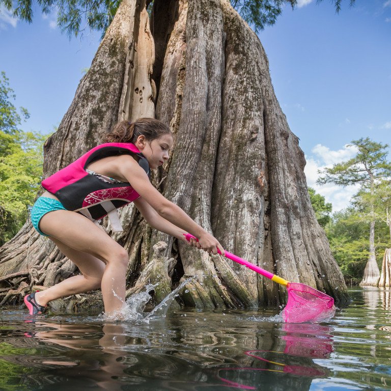A young girl with a life vest and swimsuit on stands in front of a tree trunk in the springs with a hand held net scooping up organisms.