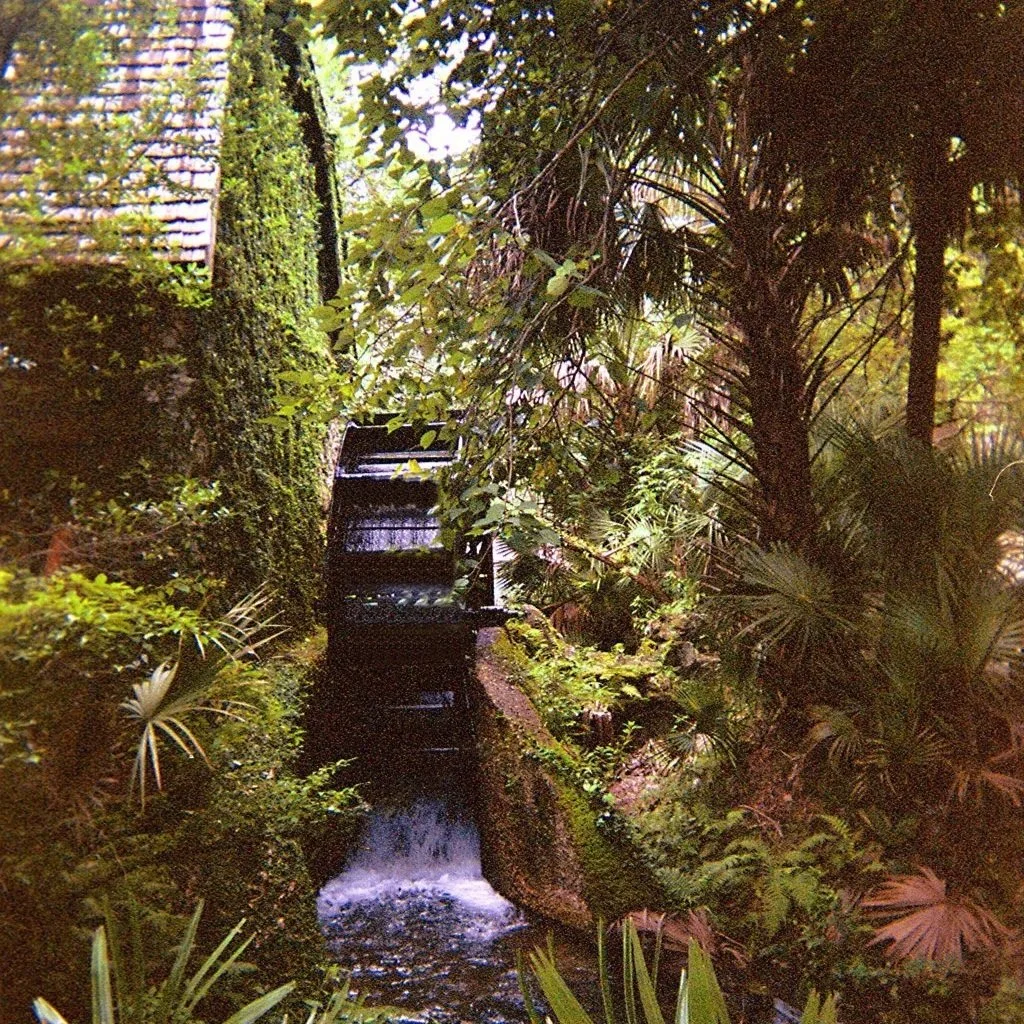 Historic water wheel surrounded by lush vegetation