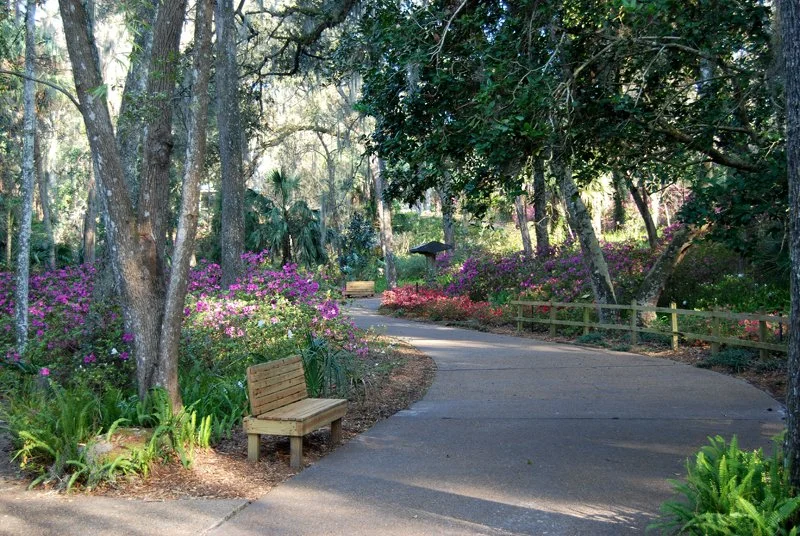 Paved park trail winding through trees and colorful flowering plants with a wooden bench along the path