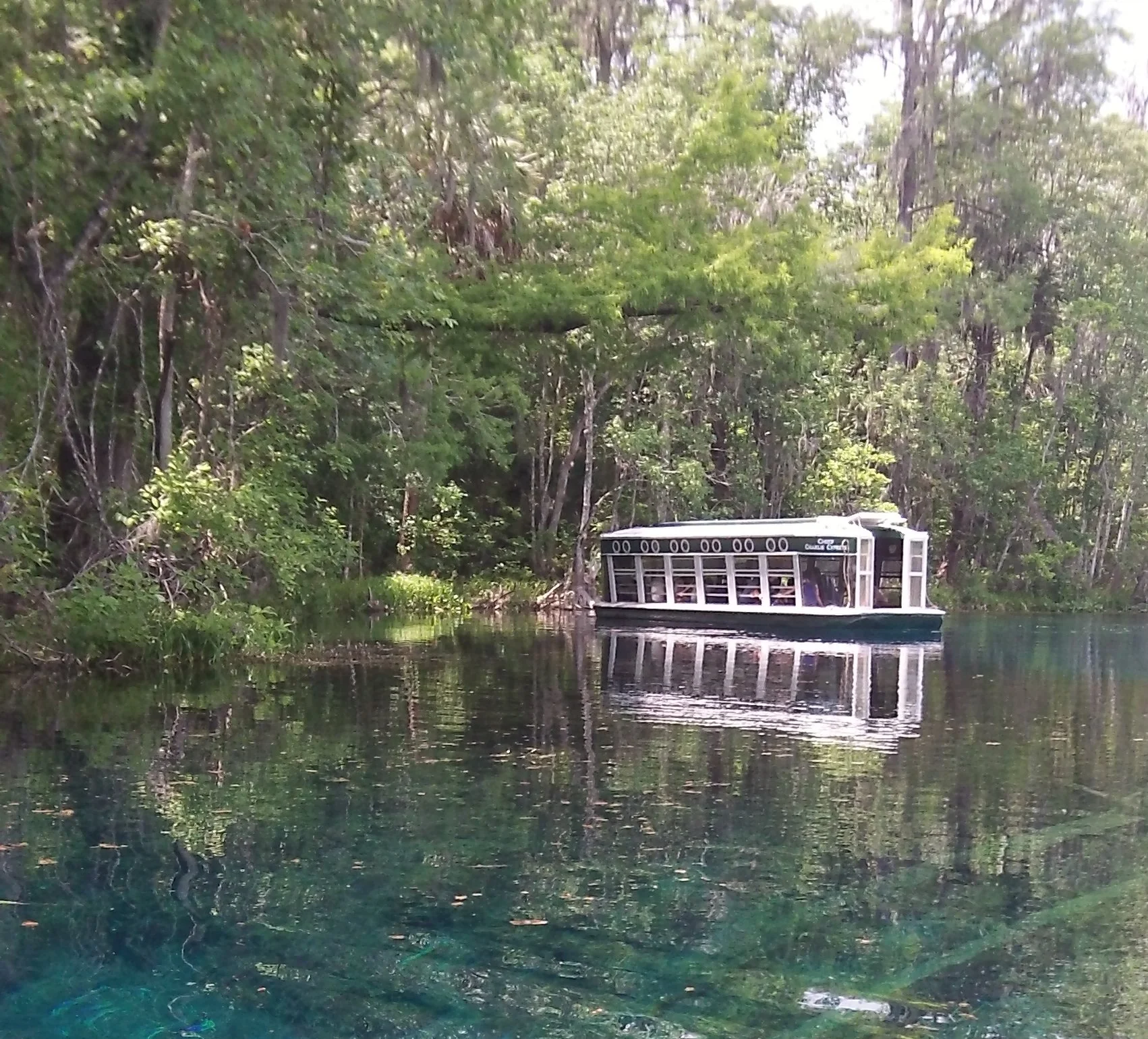 Glass-bottom boat floating on a clear spring surrounded by dense green forest, with reflections on the water