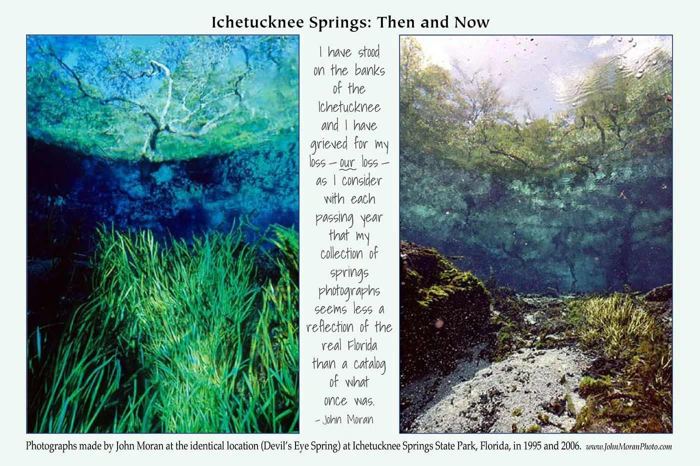 Side-by-side comparison of Ichetucknee Springs showing healthy underwater vegetation in 1995 and degraded conditions in 2006