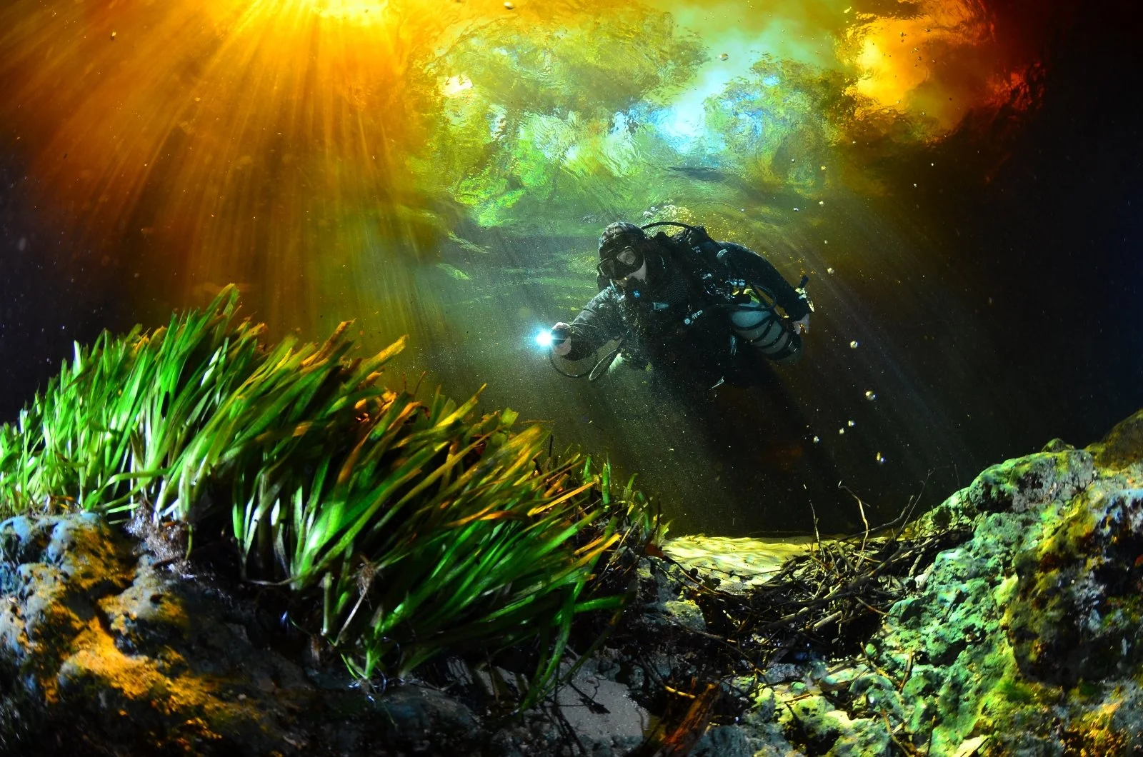 A cave diver shines a light while entering the clear waters of a Florida spring, with sunbeams streaming through the water onto eelgrass and limestone below.