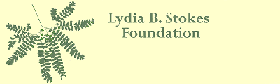 Lydia B. Stokes Foundation lOGO
