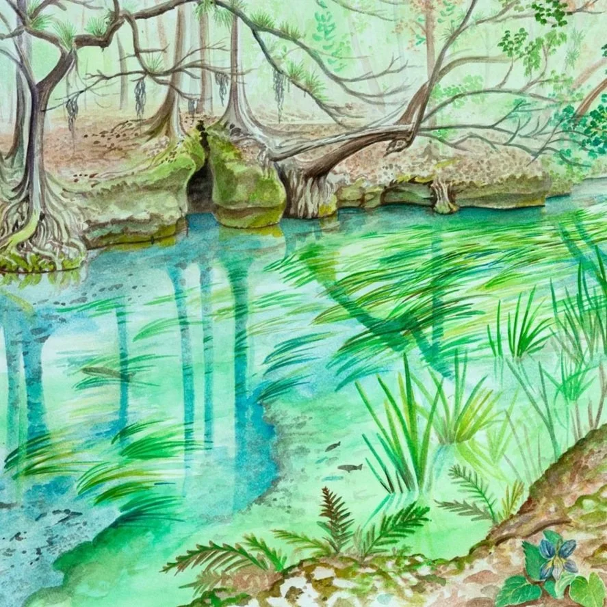 Watercolor painting of a clear spring run bordered by trees and grasses, with reflections in turquoise water and a small cave opening along the bank.