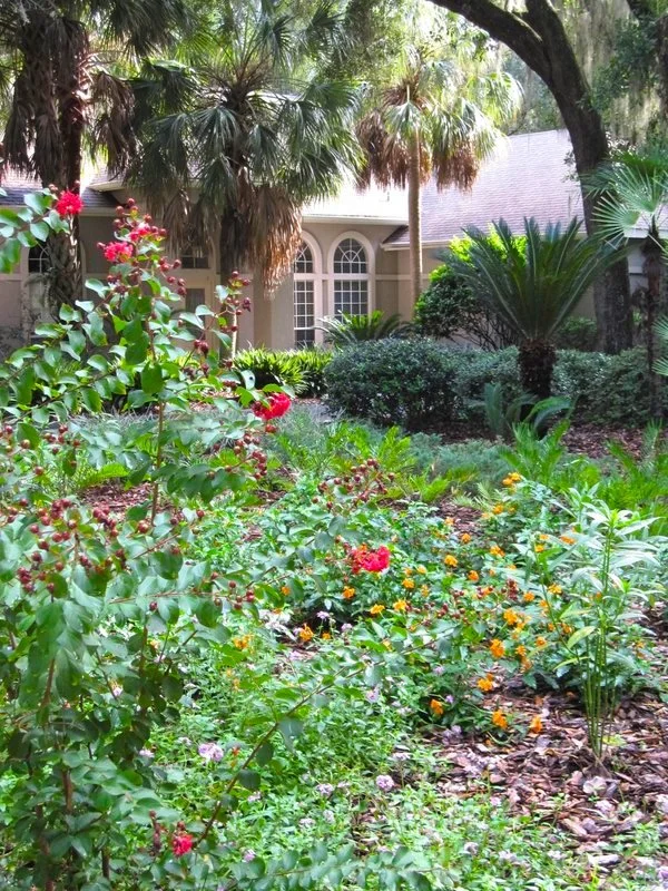 Water-efficient native garden with flowering plants and shrubs surrounding a home instead of a traditional lawn