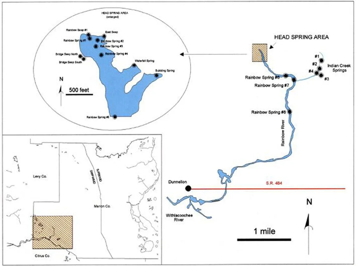 Map of Rainbow Springs showing head spring vents and their locations along the Rainbow River in Florida.