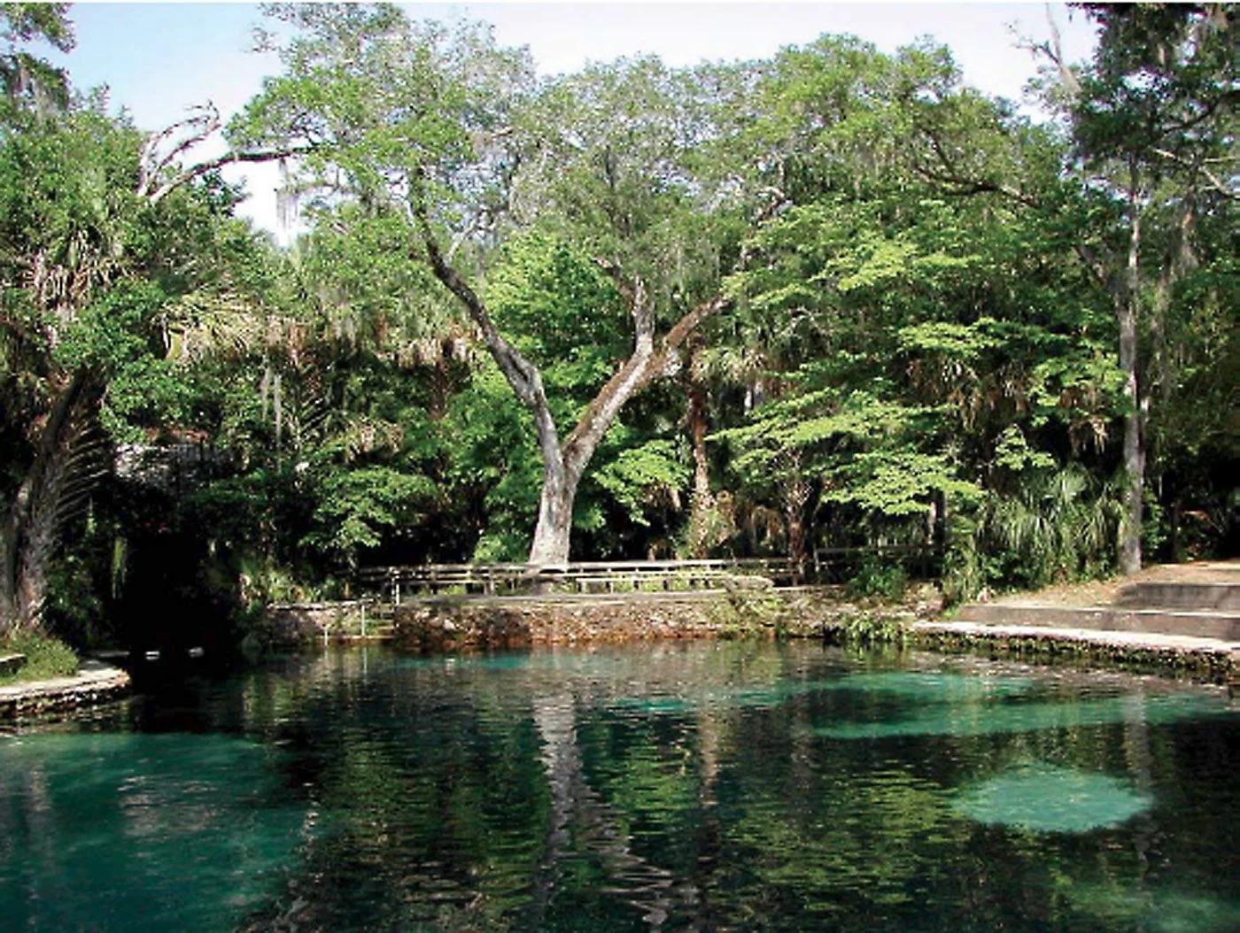 Clear turquoise spring water bordered by stone edges and a wooden railing, surrounded by lush trees and dense green foliage.