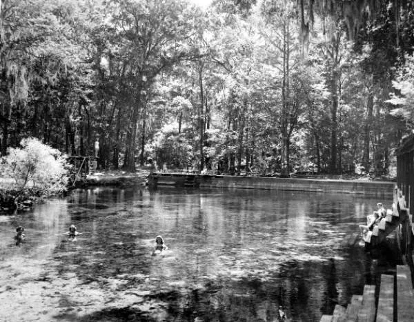 Black and white historic photo of people swimming in spring