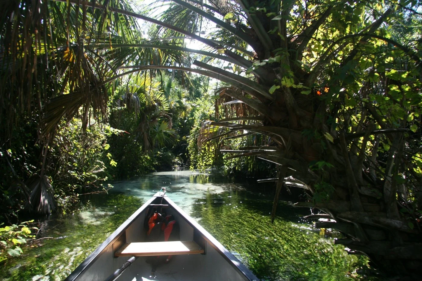 Clear blue spring with kayaker
