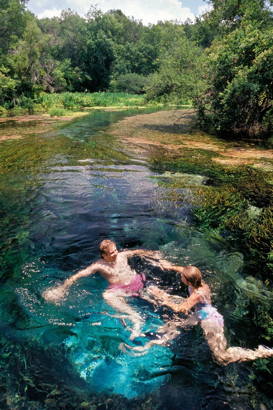 A man and a woman swimming in a clear spring with visible underwater vegetation and surrounding forest