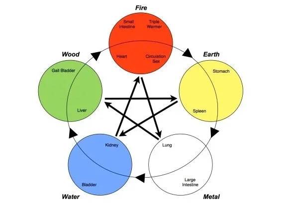 Diagram illustrating five elements with internal organs and interactions: Fire (heart and small intestine), Earth (stomach and spleen), Metal (large intestine and lung), Water (bladder and kidney), Wood (liver and gall bladder).