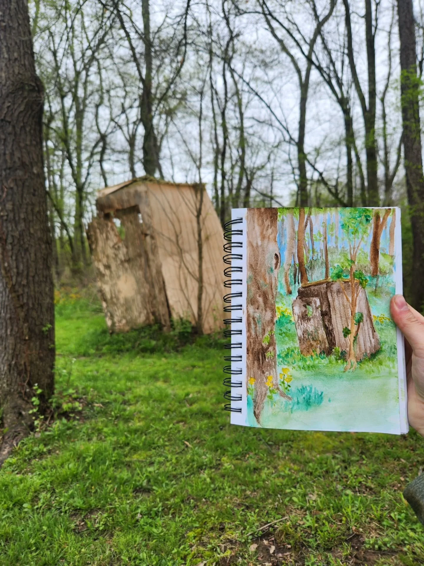 Watercolor painting in the woods
April 25th, 2026