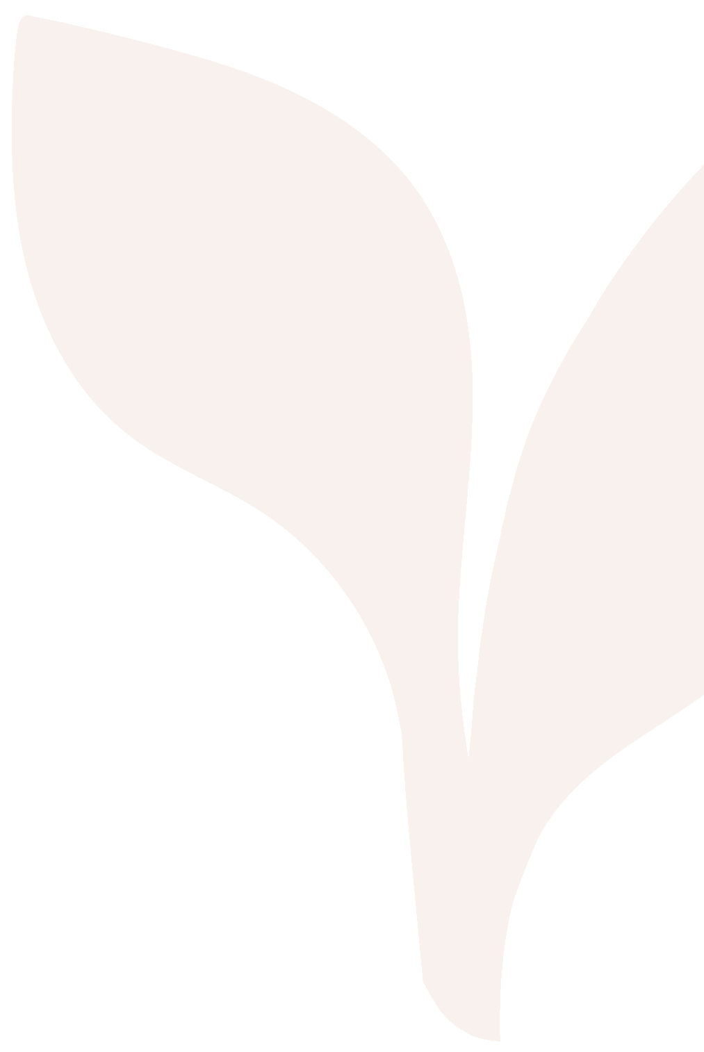 A close-up of an abstract black and white floral design with bold, curved shapes.