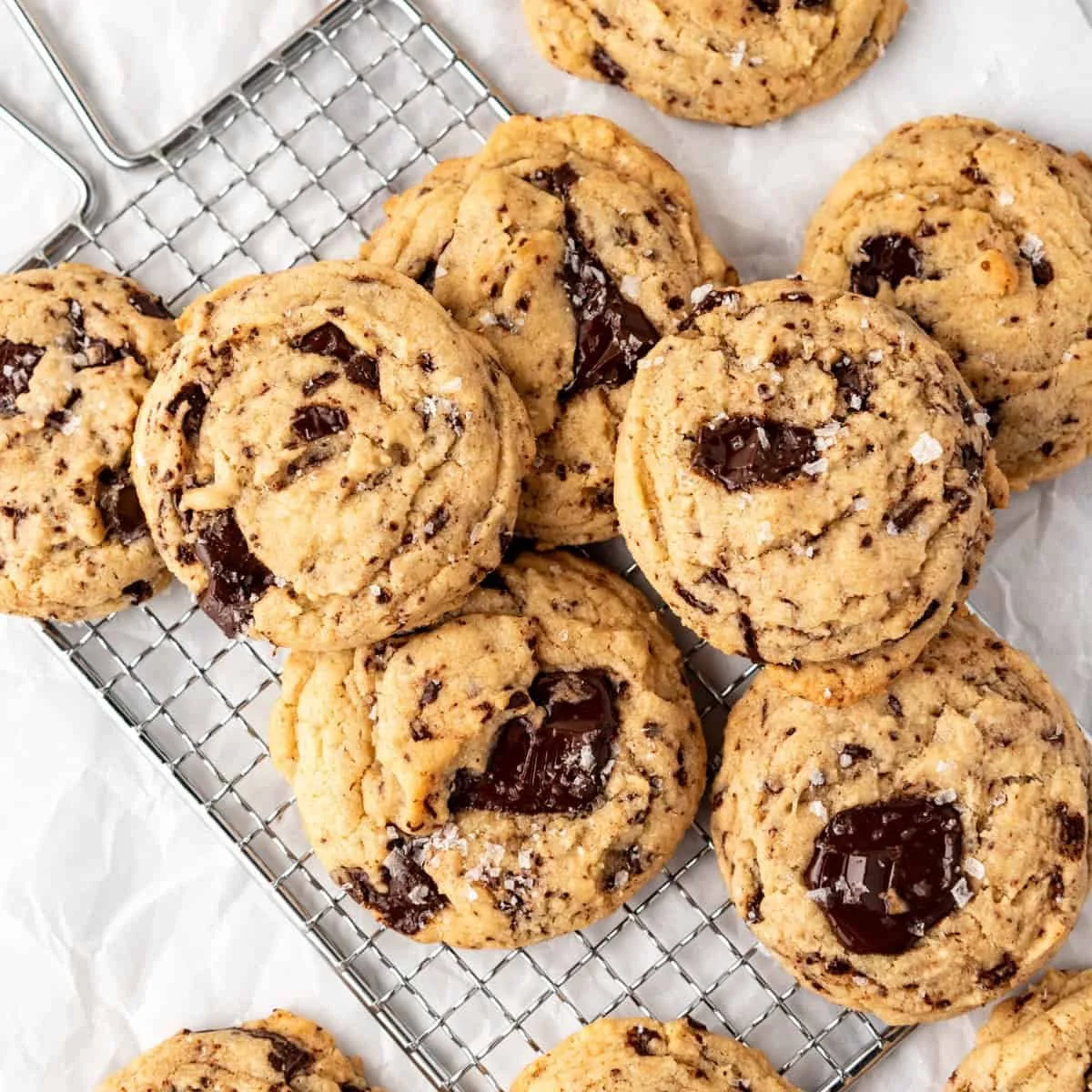 Double Chocolate Chunk Sourdough Cookies ( DOZEN )