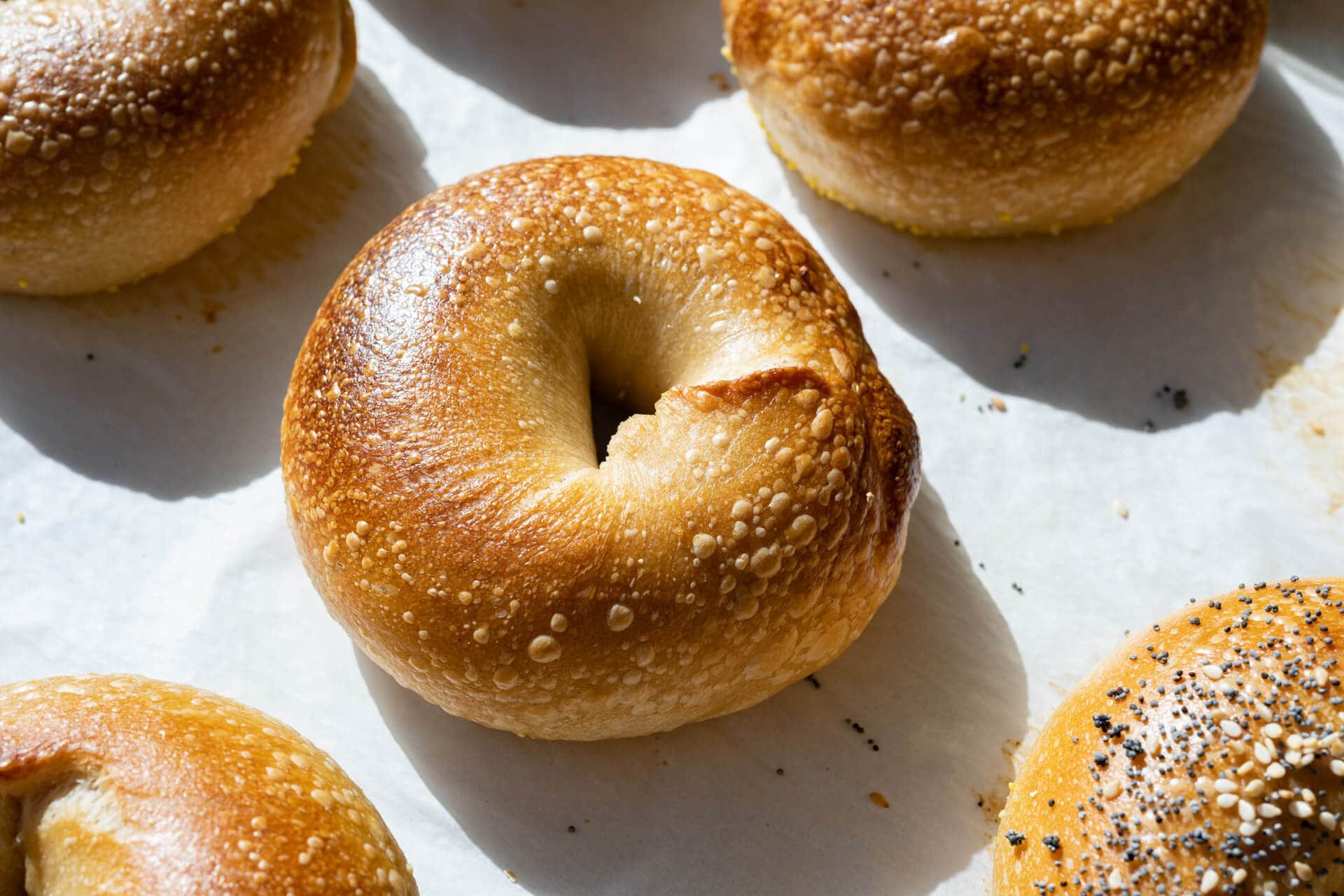Sourdough bagels ( 8 count )