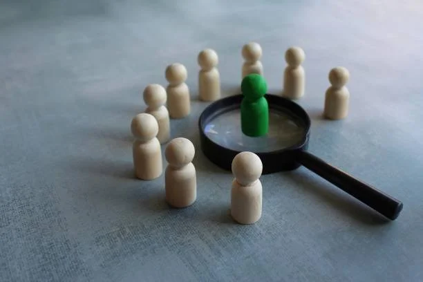 Executive Search & Placement (Flagship Practice)