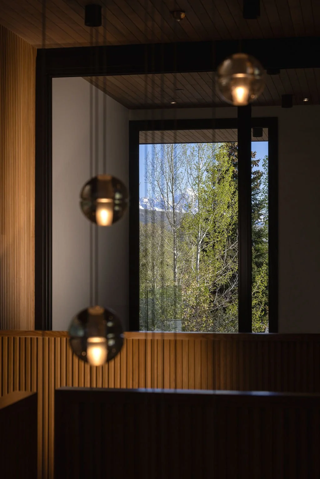 LightswithTetonViews.jpg