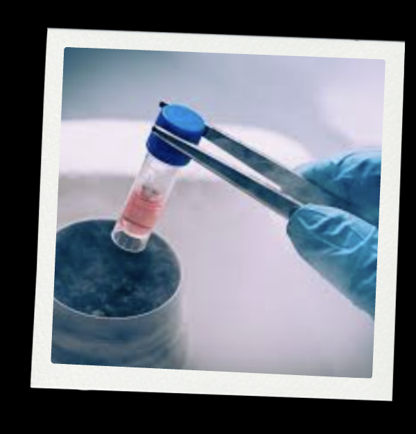 Lab technician handling a test tube with a red liquid using tongs, wearing blue gloves.