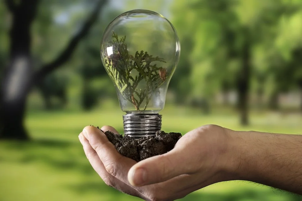 Reframing the net zero conversation: from cost to resilience